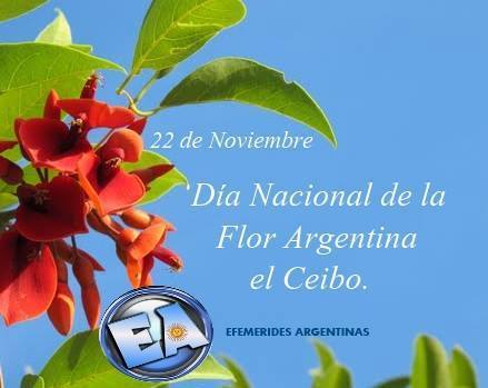 Día de la Flor Nacional «El Ceibo» | ONG Online