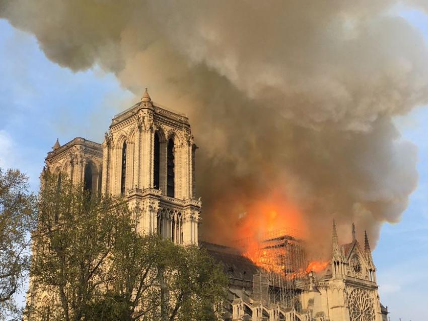 Conmoción y tristeza: La catedral de Notre Dame, en llamas | ONG Online